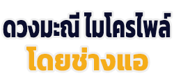 671651340826b-ดวงมะณีไมโครไพล์-logo